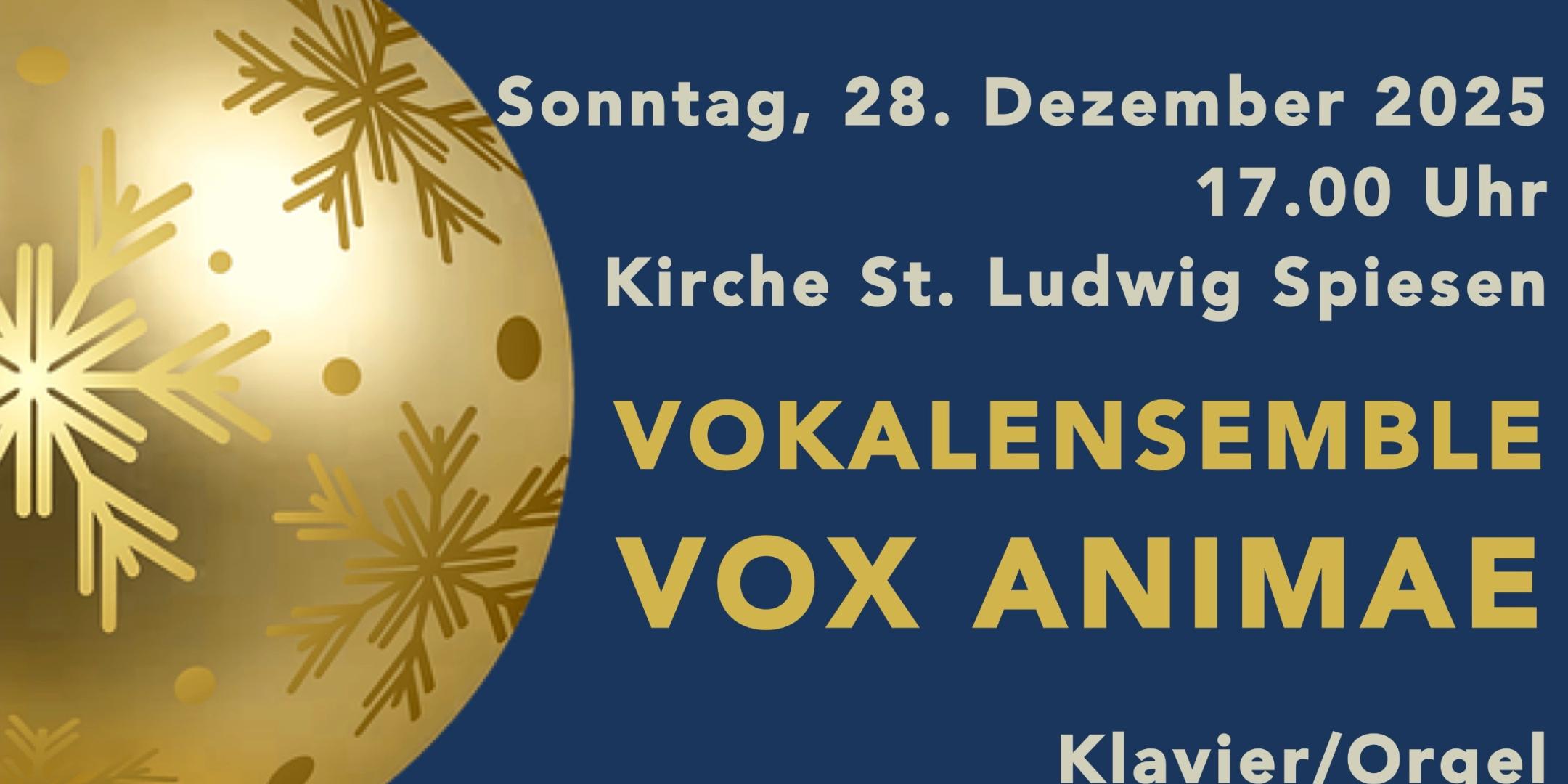 Grafik Weihnachtskonzert 28. Dezember 2025