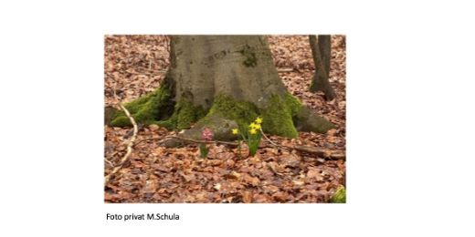 Plakat Meditative Stunde Entwurf 1
