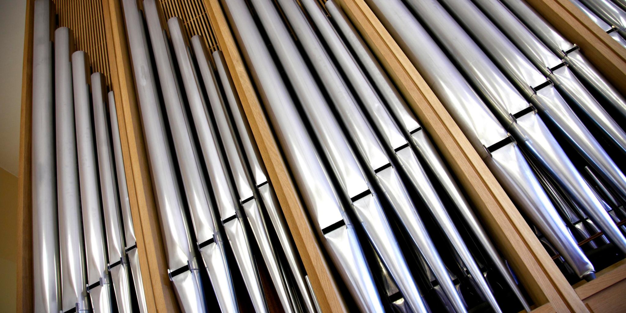 xrayfoto-organ-5859786